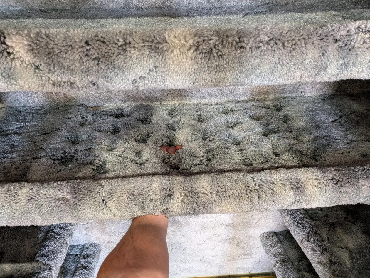 Sportsman Steel 7260 6